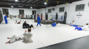 Students training in a local BJJ gym. There are many Brazilian Jiu Jitsu gyms in Brisbane to choose from.