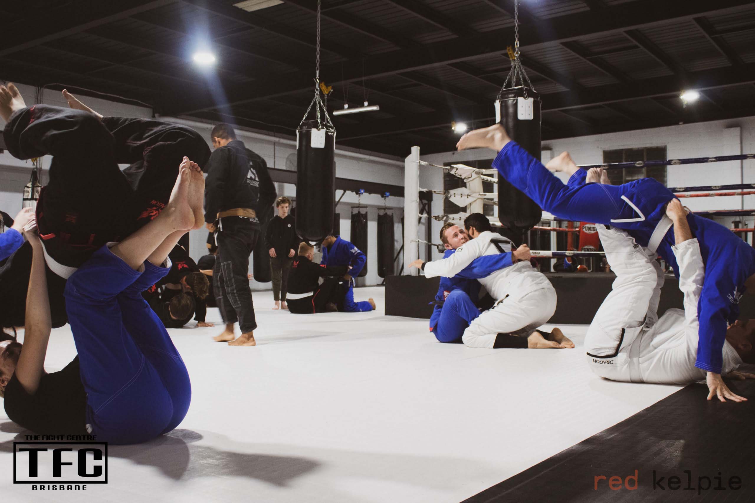 bjj points system